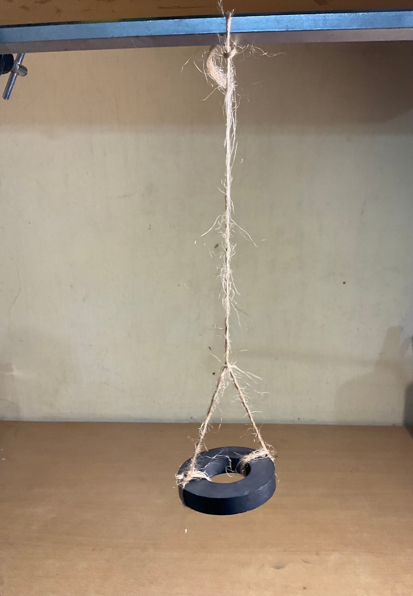Hanging Compass — Discovering Direction Using a Freely Suspended Magnet