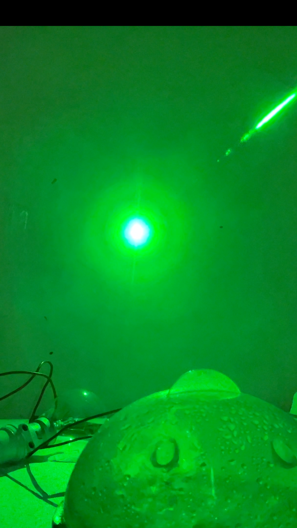 Seeing the Invisible with Light