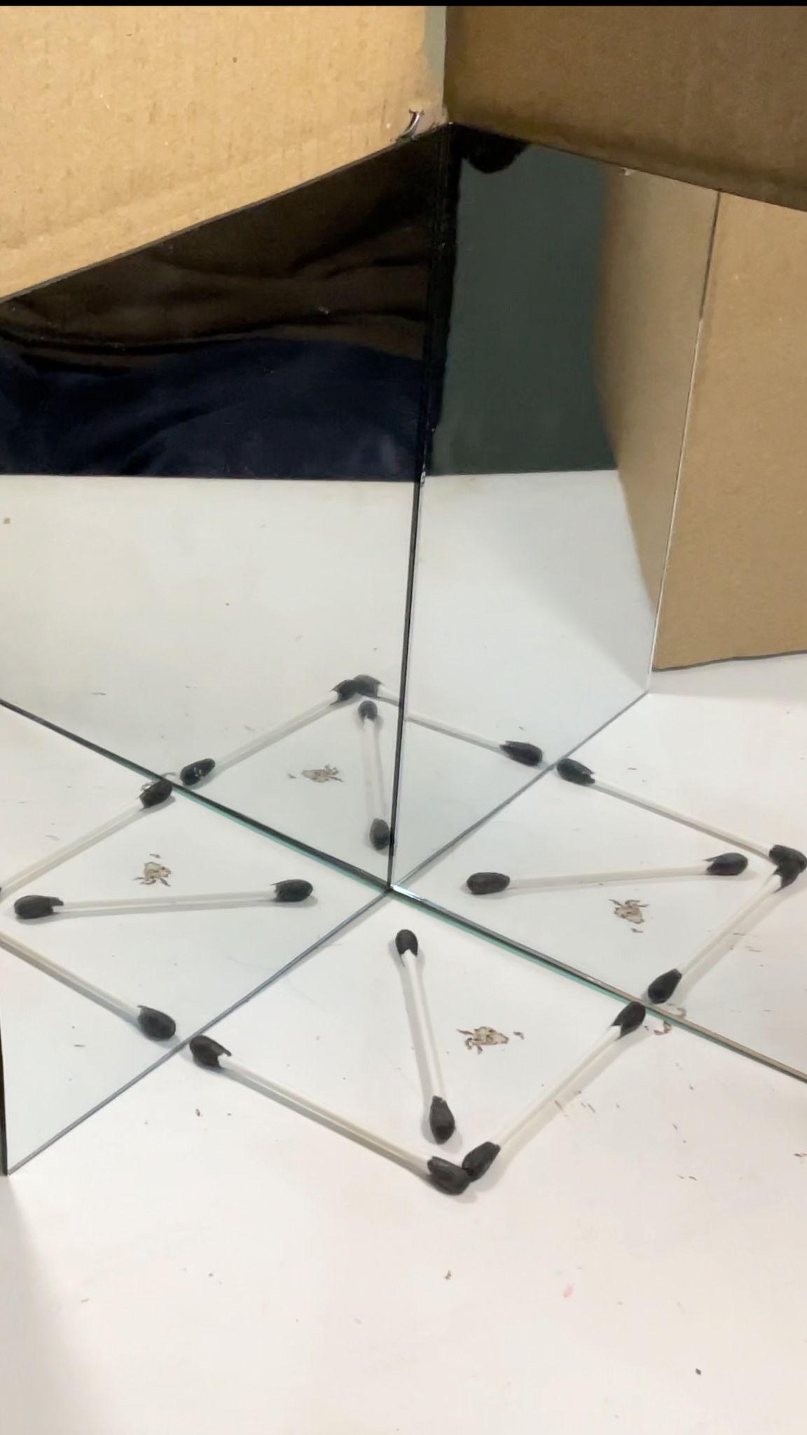 From Mirrors to Kaleidoscopes: Building Symmetry