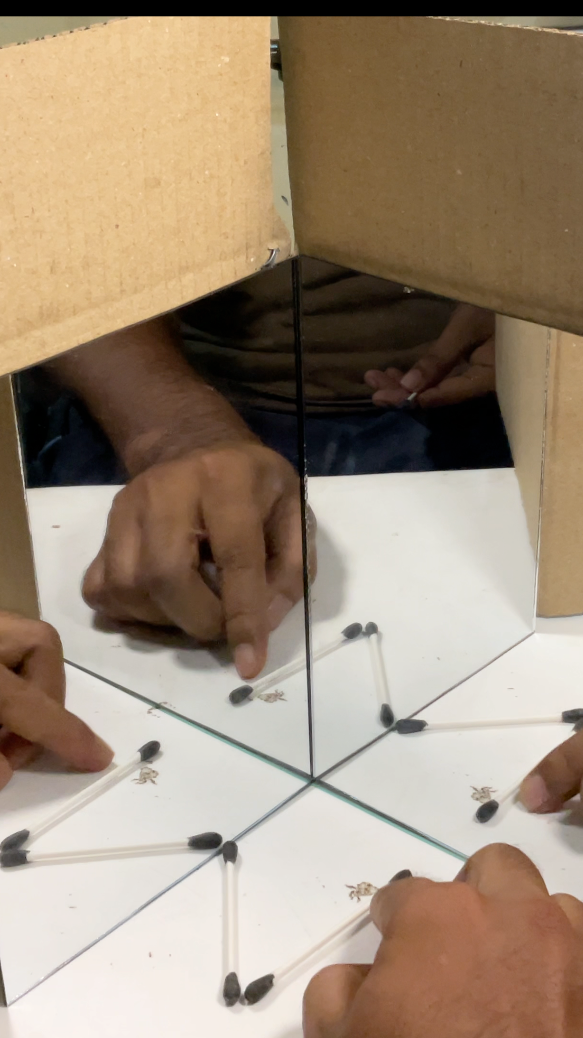 From Mirrors to Kaleidoscopes: Building Symmetry